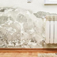 Illustration for article titled Water Damage Contractorsem/em